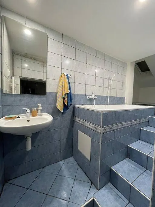 Francis Apartment - Lazenske Centrum Karlovy Vary 0*,